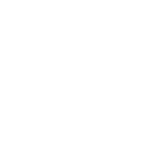 Squeegee